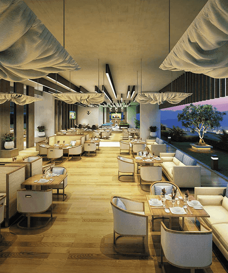 Dine Under A Star Lit Sky